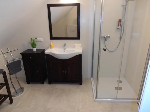a bathroom with a sink and a shower with a mirror at Ferienwohnung am Kirchberg in Jois