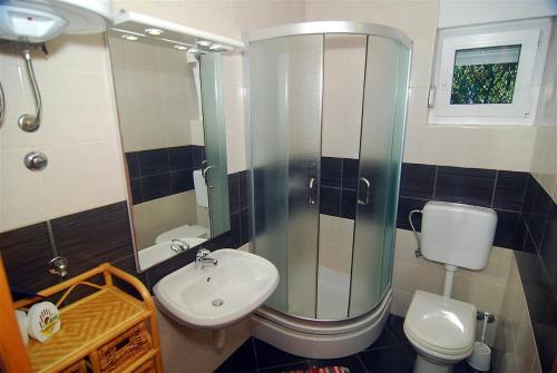 ein Bad mit einer Dusche, einem Waschbecken und einem WC in der Unterkunft Apartman Luca in Zečevo