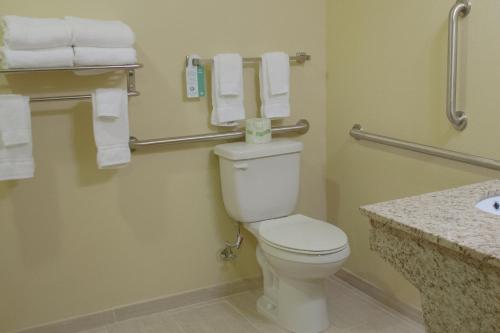a bathroom with a toilet and a sink and towels at Cobblestone Inn & Suites-Winterset in Winterset