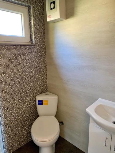 a bathroom with a toilet and a sink at Domek Pod Gruszą in Pierwoszyno
