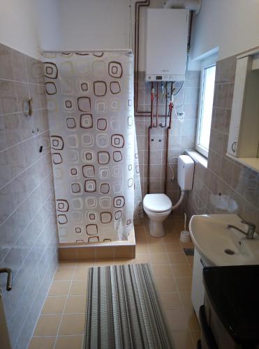 a bathroom with a shower and a toilet and a sink at Apartman Miljkovic in Arandelovac
