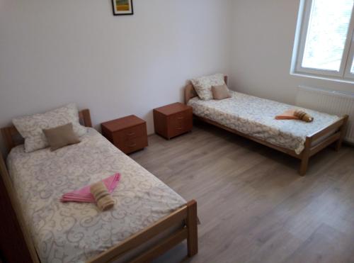 Llit o llits en una habitació de Apartman Miljkovic