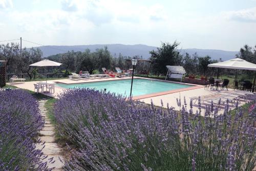 una piscina con sillas, sombrillas y flores púrpuras en Borgo Rapale, en Rapale