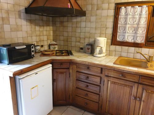 une cuisine avec un évier et un micro-ondes sur un comptoir dans l'établissement STUDIO avec Mezzanine, à Corte