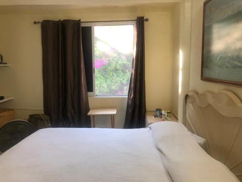 Gallery image of Hostal San Pablo in Manzanillo