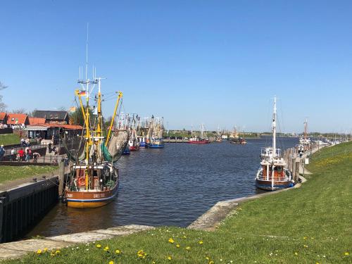 a group of boats are docked in a river at Moewennest I Ferienwohnung Emden WLAN zentral in Emden