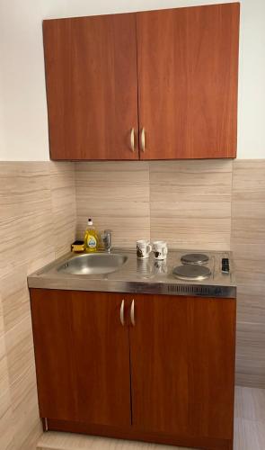 a kitchen with a sink and a counter top at Guesthouse Orlović in Budva