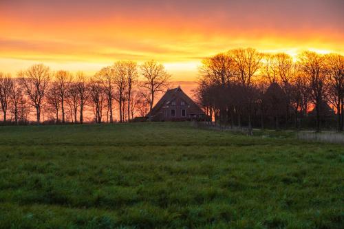 a house on a hill in a field at sunset at Logementen Jannum in Burdaard