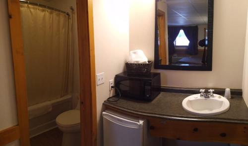 a bathroom with a sink and a toilet and a mirror at Algoma Motel in Wawa