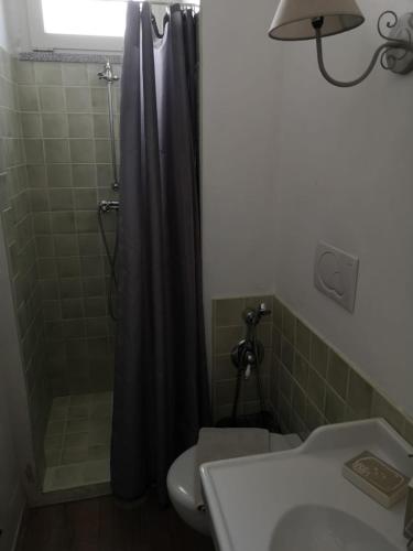 a bathroom with a shower and a toilet and a sink at B&B Il Bijou in Casalmaggiore