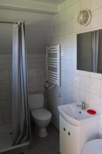 La salle de bains est pourvue de toilettes et d'un lavabo. dans l'établissement Dom w Jabłonkach Wakacje, Kaszuby, Chmielno, Sznurki 155, à Chmielno