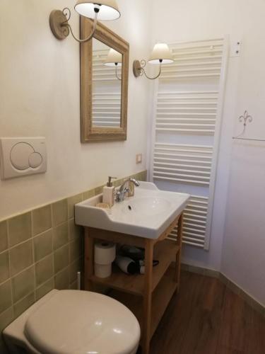 a bathroom with a sink and a toilet and a mirror at B&B Il Bijou in Casalmaggiore