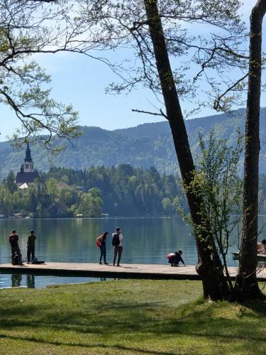 un groupe de personnes debout sur une passerelle près d'un lac dans l'établissement Apartment Jacobs, à Bled