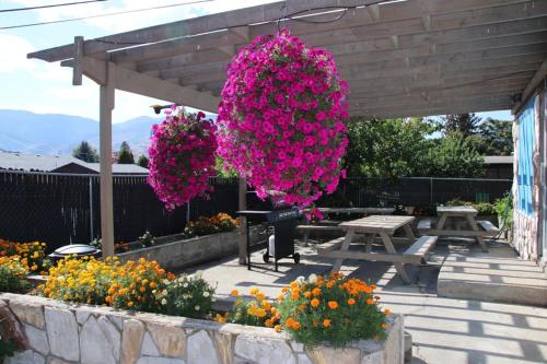 two bunches of pink flowers hanging over a picnic table at Plaza Motel in Penticton
