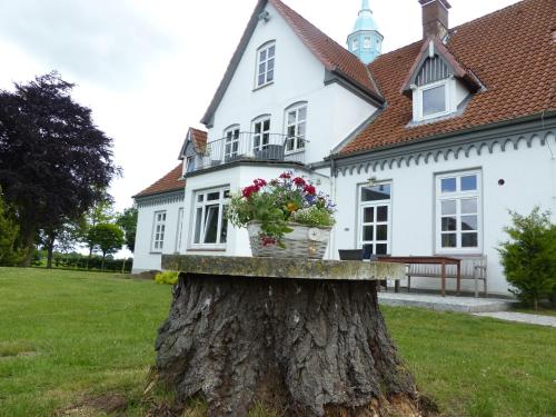 Ferienhof Kolauerhof - Bauernhofurlaub in Grömitz photo 80