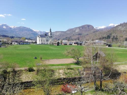 
a grassy area with a mountain range at Apartment Ana in Bohinj

