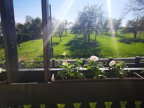 a window with a view of a field of flowers at Seeblick Apartments Mühlau in Mühlau