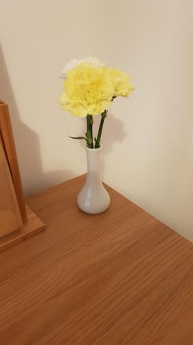 a yellow flower in a white vase on a table at Nant Apartment - Ground Floor in Menai Bridge