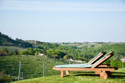 a bench sitting on top of a grassy hill at Liveza House in Miklavž pri Ormožu