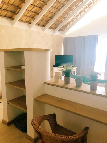 a room with a desk with potted plants on it at El Mosquito Boutique Hotel Playa Bonita in Las Terrenas