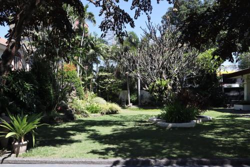 a garden with trees and plants in a yard at Domicilio Lorenzo in Davao City