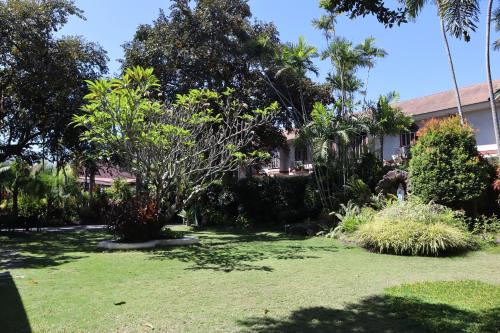 a garden in front of a building at Domicilio Lorenzo in Davao City