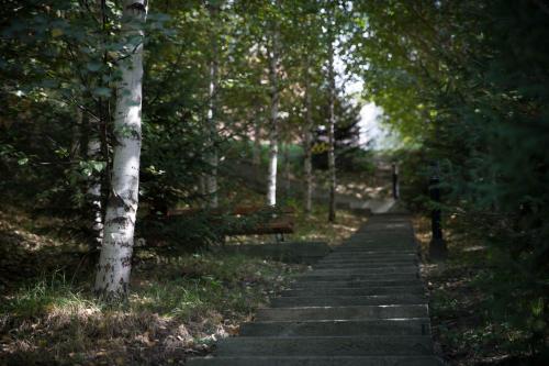 a path in a park with a bench and trees at Alpen Ville in Almaty