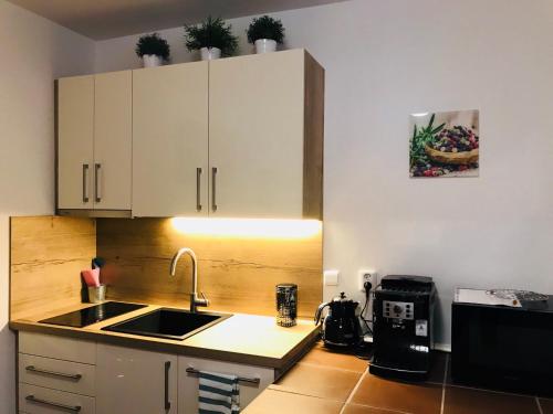 Kuchyň nebo kuchyňský kout v ubytování Vila Jensen