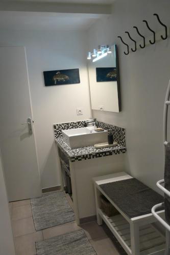 a bathroom with a sink and a mirror at Blue Ocean in Moliets-et-Maa