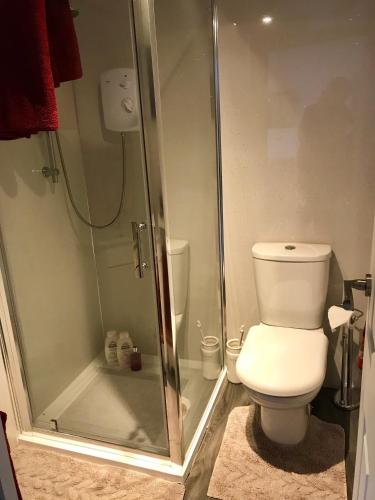 a bathroom with a toilet and a shower at Bumble’s Barn in Slamannan