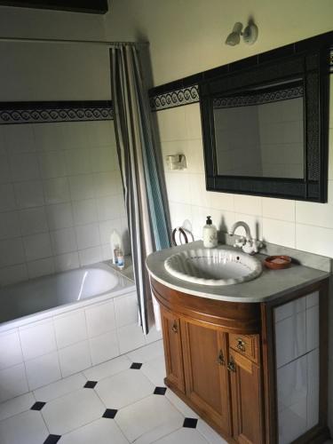 uma casa de banho com um lavatório, uma banheira e um espelho. em Querencia em Carmona