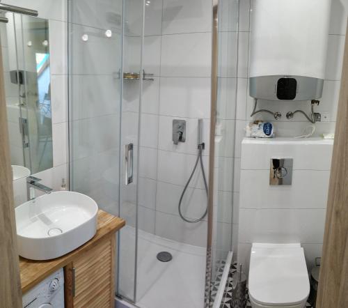 a bathroom with a shower and a toilet and a sink at Blue Mare Rac in Łukęcin