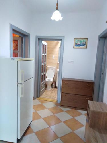 a kitchen with a refrigerator and a toilet in a room at Casa Banc in Baile Unu Mai