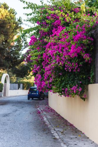 Taman di luar Sechi Aparthotel Marbella - Self Service
