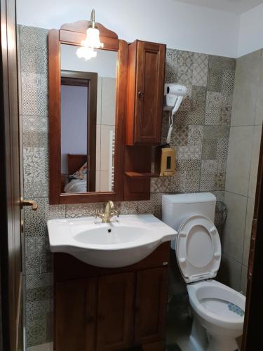 a bathroom with a sink and a toilet and a mirror at Casa Dorgo in Lipova
