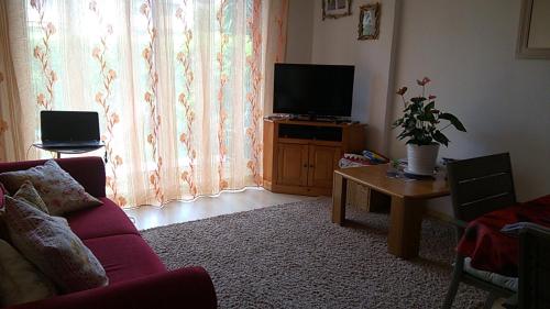 un salon avec un canapé et une télévision à écran plat dans l'établissement COSTEBELLE Appartement entier, à Hyères