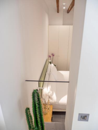 a living room with a white couch and a cactus at Es Palauet Brandnew one suite apartment in Ibiza center in Ibiza Town