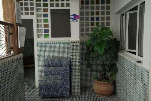 a bathroom with a chair and a potted plant at White And Blue in Essaouira