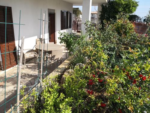 Foto dalla galleria di Apartment Elena a Piran