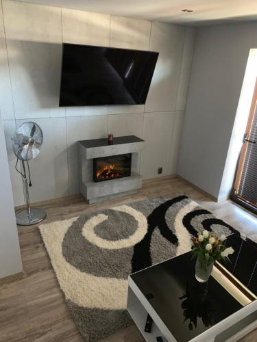 a living room with a fireplace and a tv at Pokoje u Maksi in Władysławowo