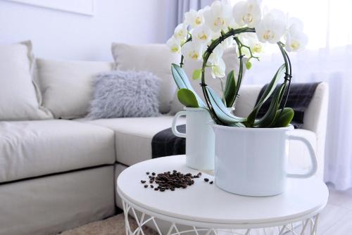 CHILLIapartamenty - Bliżej Morza - MOCCA