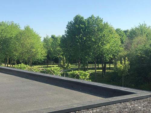 a park with a garden with trees and a wall at B&B nancy in holland met eigen badkamer , independent bathroom in Aalten