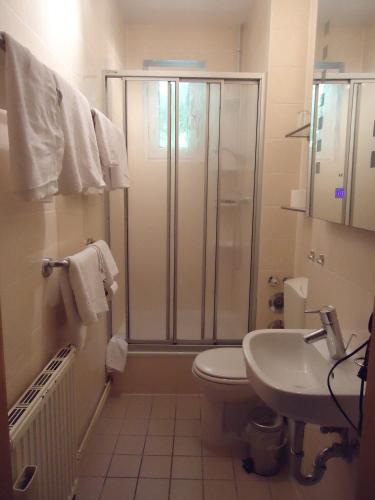 a bathroom with a shower and a toilet and a sink at Hotel Schweizer Hof in Halle an der Saale