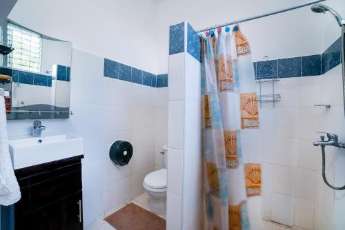 W łazience znajduje się toaleta, umywalka i prysznic. w obiekcie Apartamentos Magallanes Romana w mieście La Romana