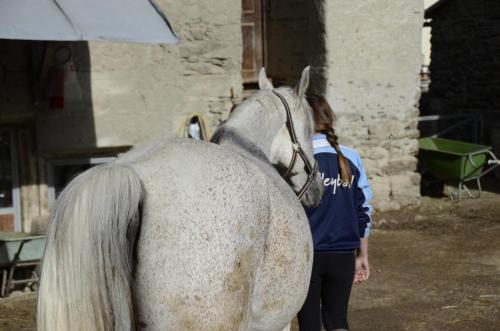 a woman standing next to a white horse at Landhotel Anna in Silandro