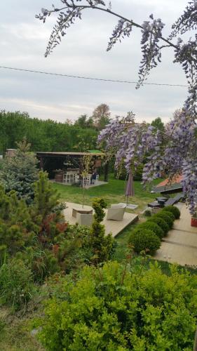 a garden with a bunch of purple flowers at Bed & Bistrò Che Piasì in Calamandrana