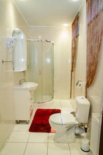 a bathroom with a toilet and a shower and a sink at Котедж-парк Славна in Okhtyrka