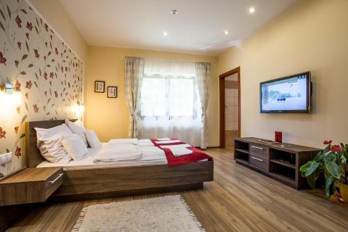 シャールヴァールにあるNyirfa Apartmanházのベッドルーム(大型ベッド1台、テレビ付)