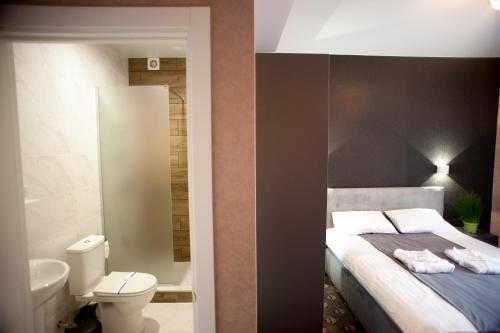 a bedroom with a bed and a bathroom with a toilet at Biruza Club in Svyatopetrivske