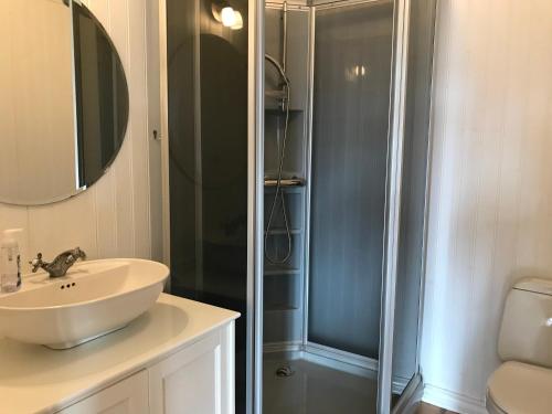 a bathroom with a sink and a shower at Steinhúsið in Hólmavík